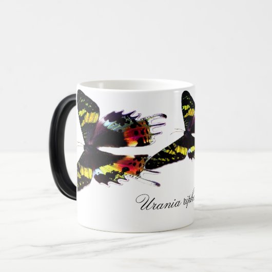 Madagascar Sunset Moth Magische Mok (Voorkant links)