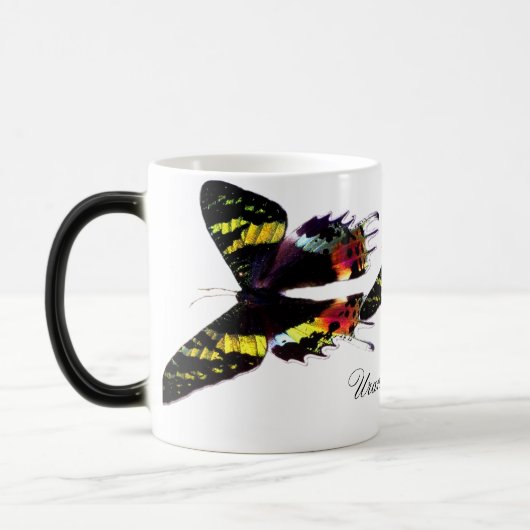 Madagascar Sunset Moth Magische Mok (Links)