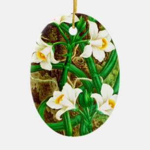 Madagascar Vanilla Orchid Keramisch Ornament