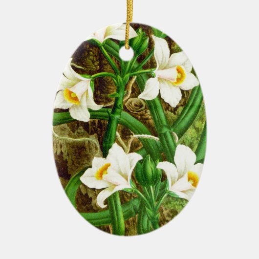 Madagascar Vanilla Orchid Keramisch Ornament (Voorkant)
