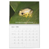 Madagascar Wildlife Kalender (Mar 2026)