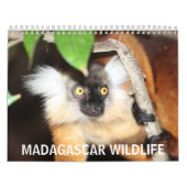 Madagascar Wildlife Kalender (Hoes)