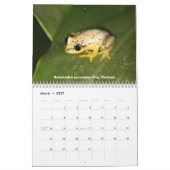 Madagascar Wildlife Kalender (Mar 2027)