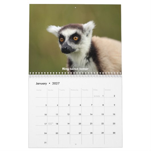 Madagascar Wildlife Kalender (Jan 2027)