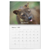 Madagascar Wildlife Kalender (Feb 2027)