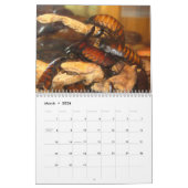Madagasgar Hissing Cockroaches Wall Agenda Kalender (Mar 2026)