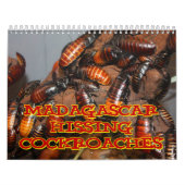Madagasgar Hissing Cockroaches Wall Agenda Kalender (Hoes)