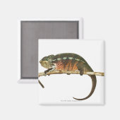 Madagaskar 2 magneet (Voorkant / Achterkant)