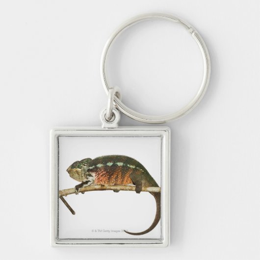 Madagaskar 2 sleutelhanger (Voorkant)