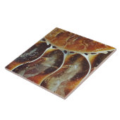 Madagaskar-ammoniumgroot Tegeltje (Zijkant)