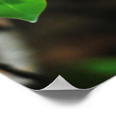 Madagaskar, Andasibe, Ile Aux Lemuriens, moeder Poster (Hoek)