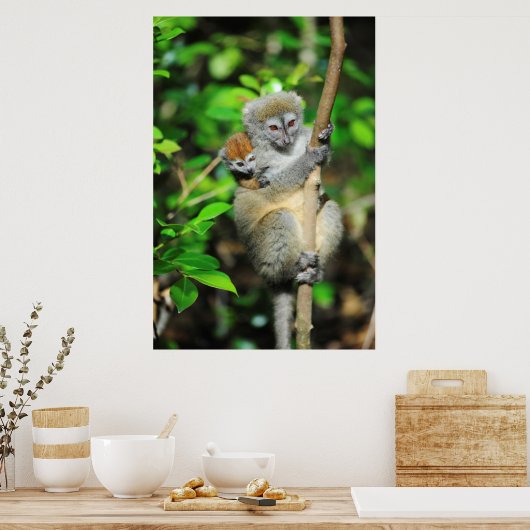 Madagaskar, Andasibe, Ile Aux Lemuriens, moeder Poster (Keuken)