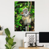 Madagaskar, Andasibe, Ile Aux Lemuriens, moeder Poster (Thuiskantoor)