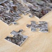 Madagaskar, Ankarafantsika Reserve; Ampijoroa; Legpuzzel (Zijkant)