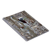 Madagaskar, Ankarafantsika Reserve; Ampijoroa; Notitieboek (Rechterzijde)