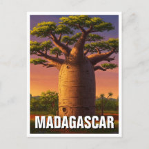 Madagaskar Baobab Tree Travel