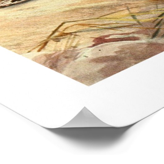 Madagaskar Boa Poster (Hoek)