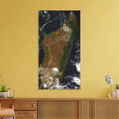 Madagaskar Canvas Afdruk (Insitu (Woonkamer))