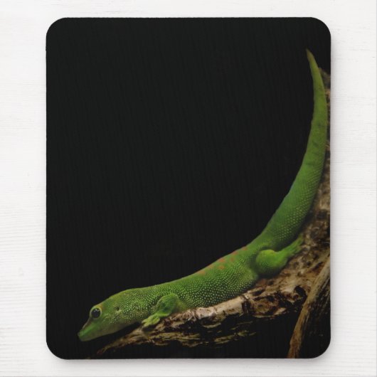Madagaskar-dag Gecko mousepad Muismat (Voorkant)