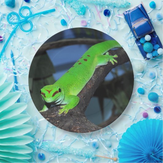 Madagaskar-daggekko Papieren Bordje (Feest)