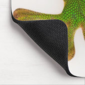 Madagaskar-daggekko (Phelsuma madagascariensis 2) Muismat (Hoek)