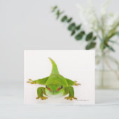 Madagaskar-daggekko (Phelsuma madagascariensis) Briefkaart (Staand voorkant)