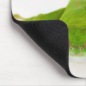 Madagaskar-daggekko (Phelsuma madagascariensis) Muismat (Hoek)