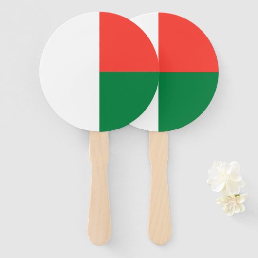 Madagaskar Handwaaier (Voorkant en achterkant)