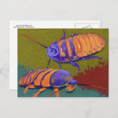Madagaskar Hissers - Cockroaches Briefkaart (Voorkant / Achterkant)