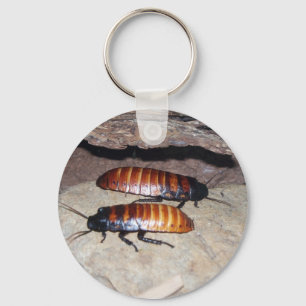 Madagaskar Hissing Cockroach Sleutelhanger