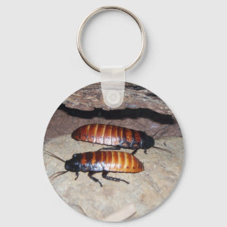 Madagaskar Hissing Cockroach Sleutelhanger
