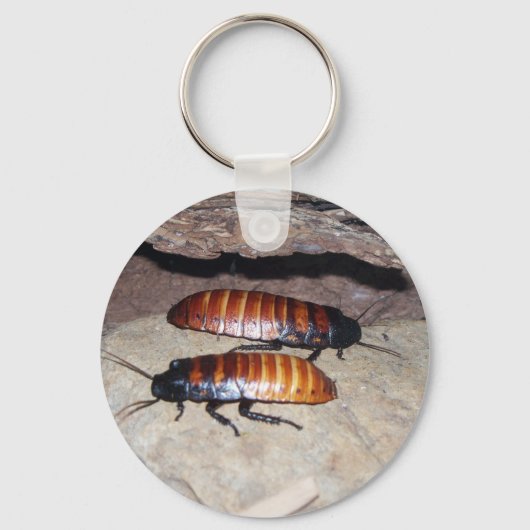 Madagaskar Hissing Cockroach Sleutelhanger (Voorkant)