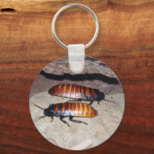 Madagaskar Hissing Cockroach Sleutelhanger (Voorkant)