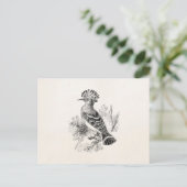  Madagaskar Hoopoe Bird Personalized Birds Briefkaart (Staand voorkant)