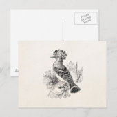  Madagaskar Hoopoe Bird Personalized Birds Briefkaart (Voorkant / Achterkant)