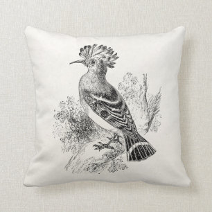  Madagaskar Hoopoe Bird Personalized Birds Kussen