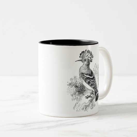  Madagaskar Hoopoe Bird Personalized Birds Tweekleurige Koffiemok (Voorkant rechts)