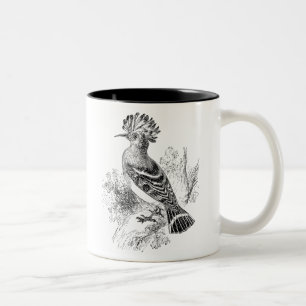  Madagaskar Hoopoe Bird Personalized Birds Tweekleurige Koffiemok