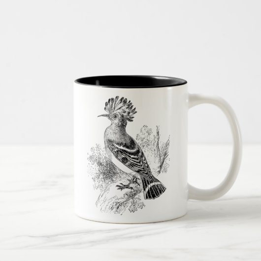  Madagaskar Hoopoe Bird Personalized Birds Tweekleurige Koffiemok (Rechts)