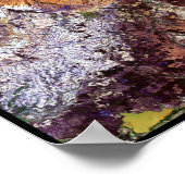 Madagaskar Jellyfish Poster (Hoek)