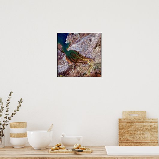 Madagaskar Jellyfish Poster (Keuken)