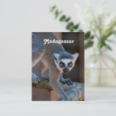 Madagaskar Lemur Briefkaart (Staand voorkant)