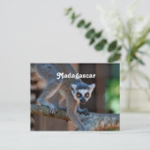 Madagaskar Lemur Briefkaart (Staand voorkant)