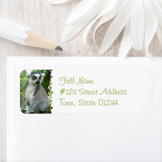 Madagaskar Lemur retour adres label (Insitu)