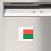 Madagaskar Magneet (Insitu (Vaatwasser))