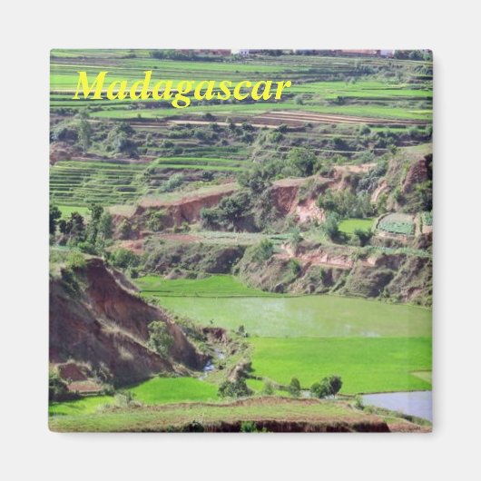 Madagaskar magneet (Voorkant)