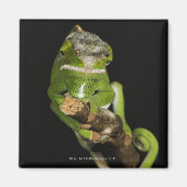 Madagaskar Magneet (Voorkant)