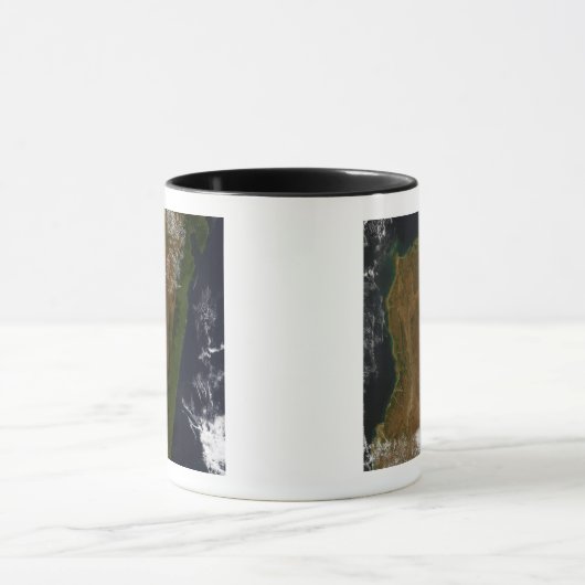 Madagaskar Mok (Midden)