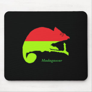 Madagaskar Muismat