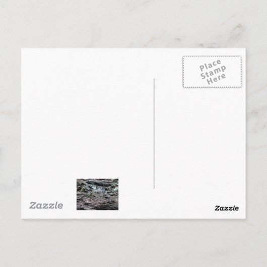 Madagaskar Palm Briefkaart (Achterkant)